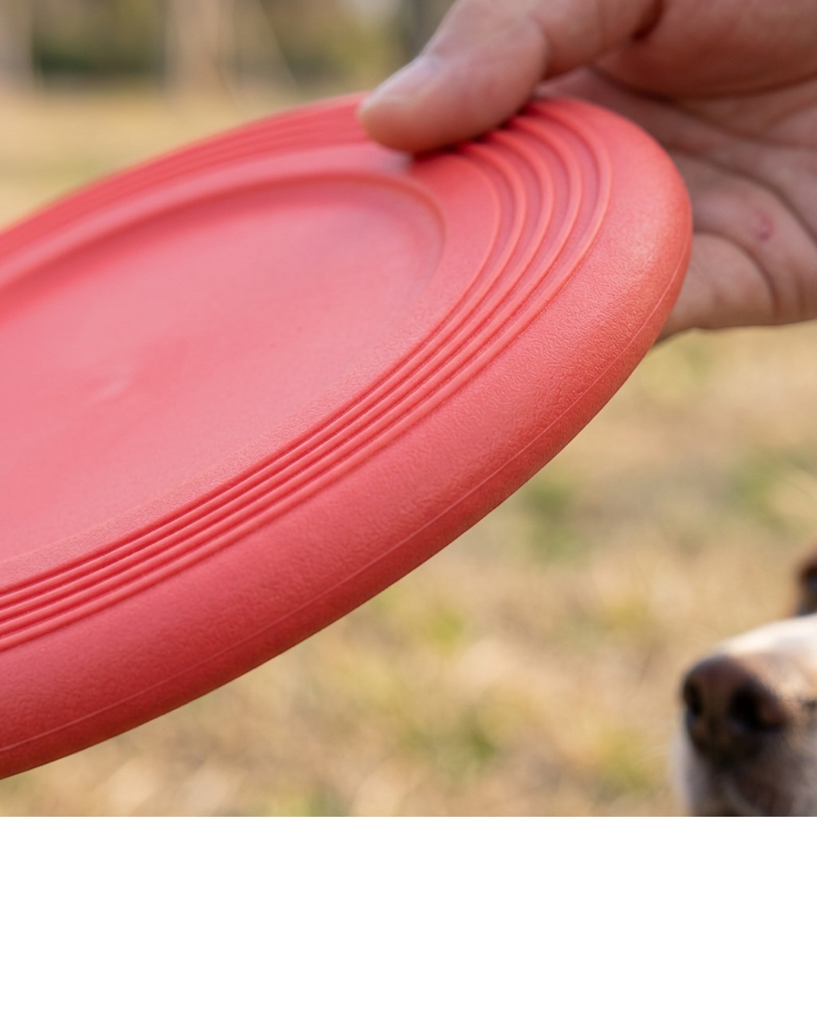 Keriz Soft Rubber Dog Flying Disc Coral 8 in